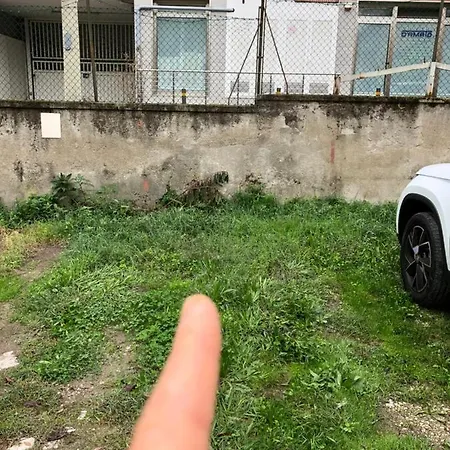 Irina's House